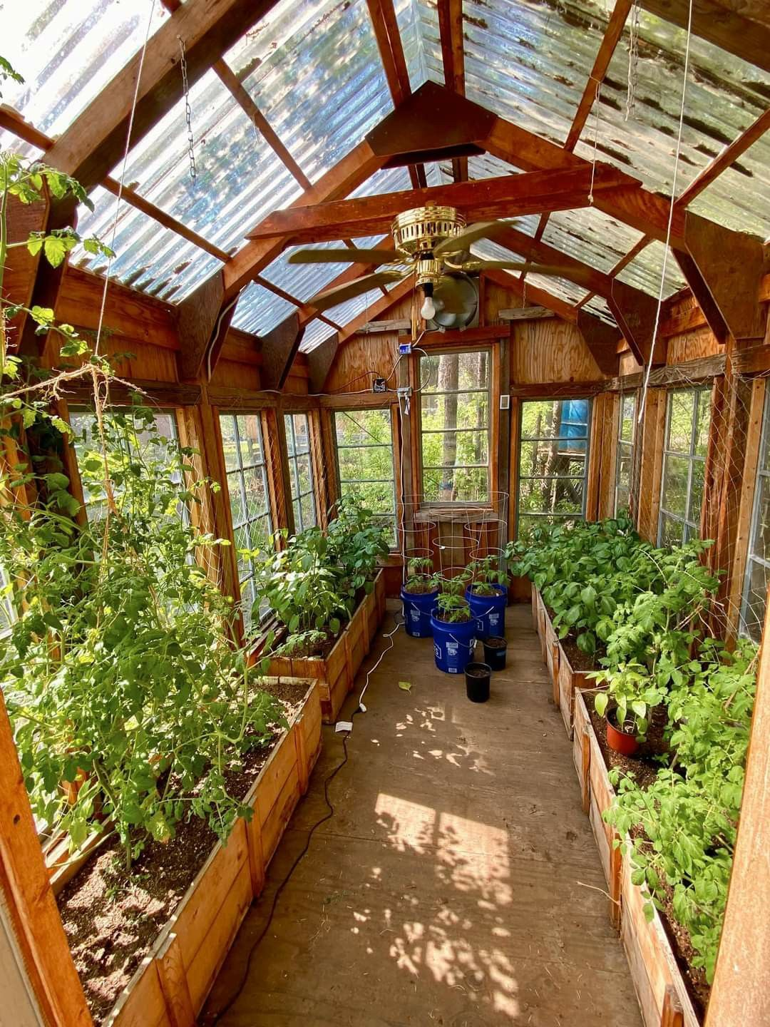 9 Greenhouse Ideas to Bring the Outdoors Inside 2 image 30