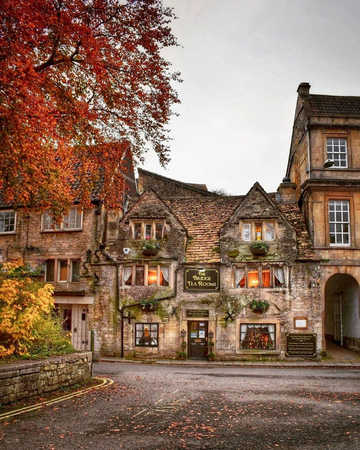 9 Old Money Gardens That Bring Estate Symmetry to Your Backyard 3 image 31