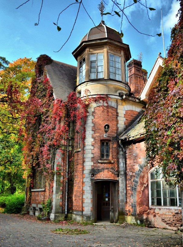 9 Old Money Gardens That Bring Estate Symmetry to Your Backyard 8 image 37