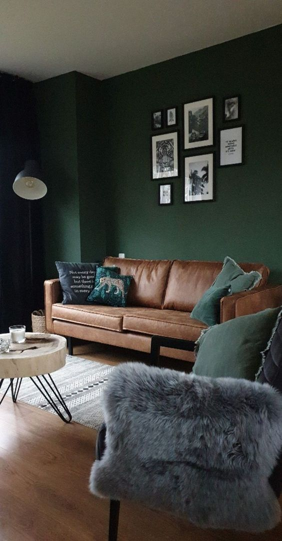 9 Olive Green and Rust Living Room Designs for Rustic Elegance 6 image 14