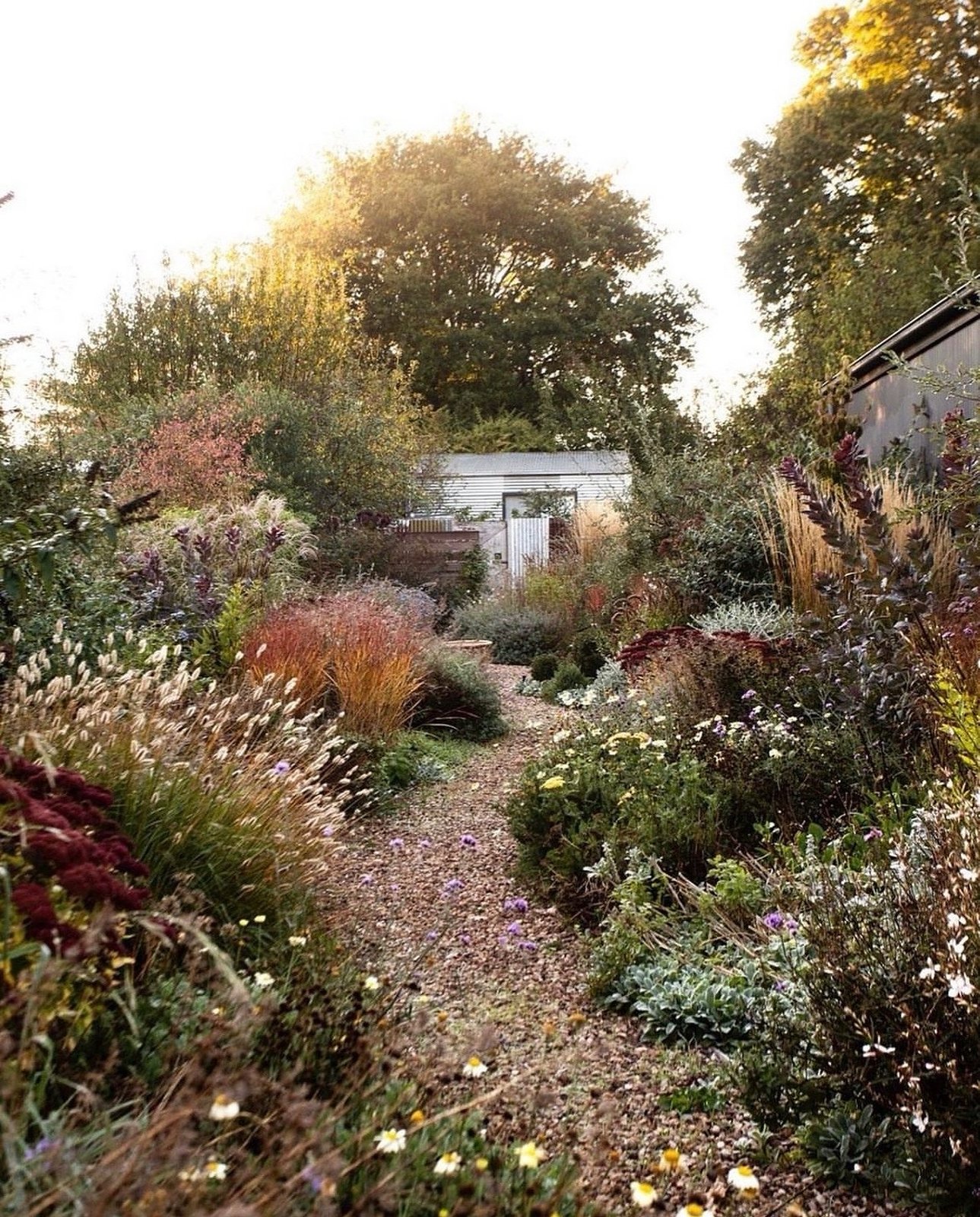 Garden path glowing in the evening light